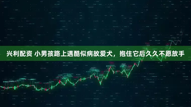 兴利配资 小男孩路上遇酷似病故爱犬，抱住它后久久不愿放手