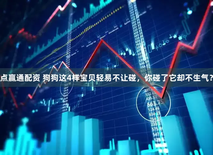 点赢通配资 狗狗这4样宝贝轻易不让碰，你碰了它却不生气？