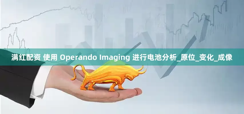 满红配资 使用 Operando Imaging 进行电池分析_原位_变化_成像