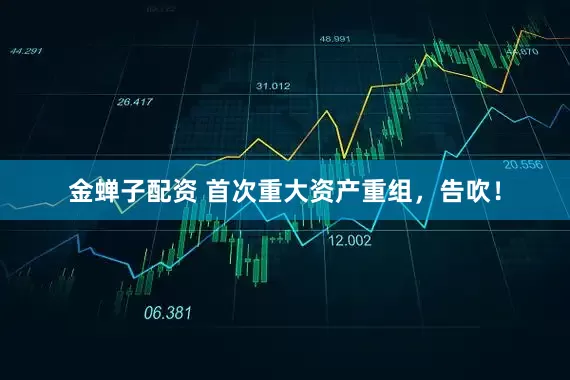 金蝉子配资 首次重大资产重组，告吹！